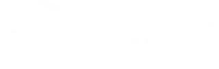 Motor City Organics
